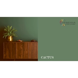CACTUS.jpg