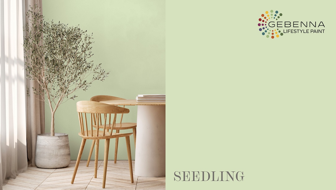 Gebenna Vægmaling: Seedling Farveprøve