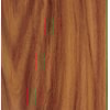 55594_1